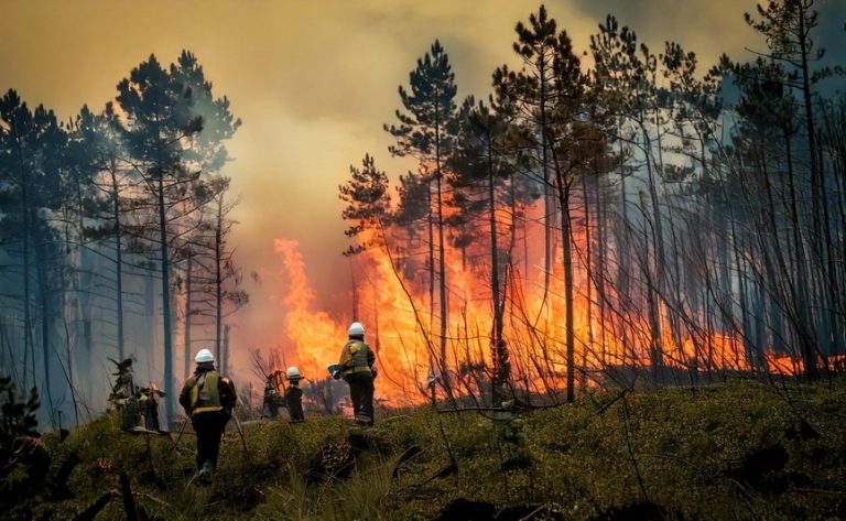 Pengendalian Kebakaran Hutan dan Lahan