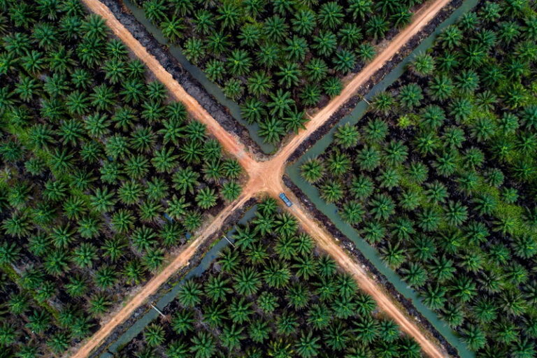 Digital Agriculture & Precision Farming