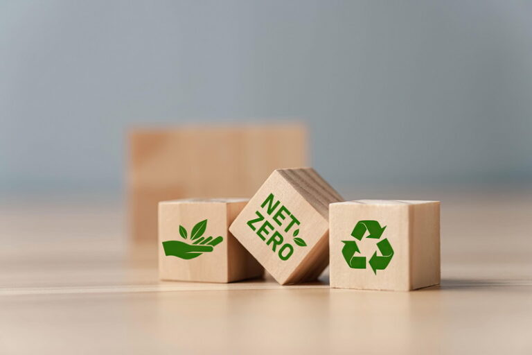 Emission Reduction Strategy and Carbon Management in Power Sector