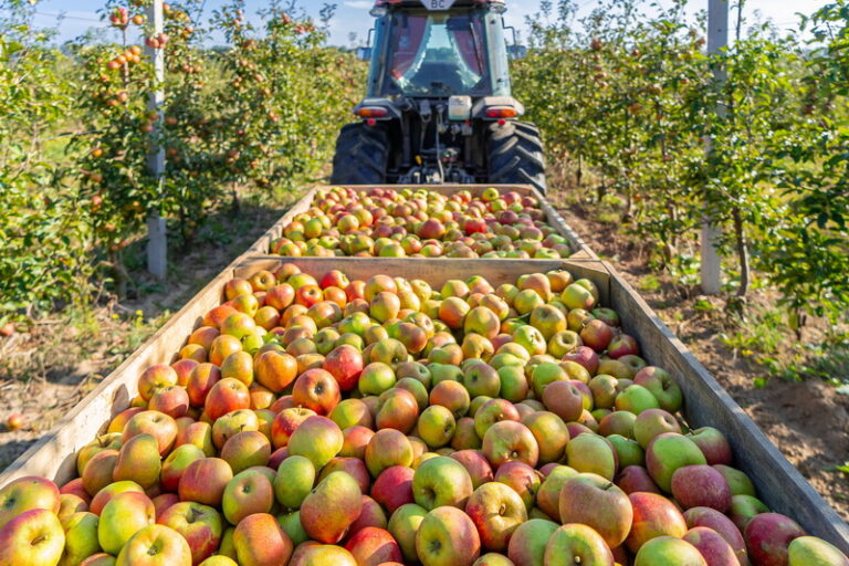 Online Training - Good Agricultural Practices (GAP) Certification