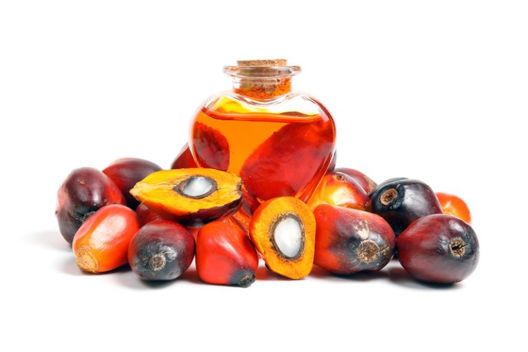 Online Training - Export Import Management for Palm Oil Products